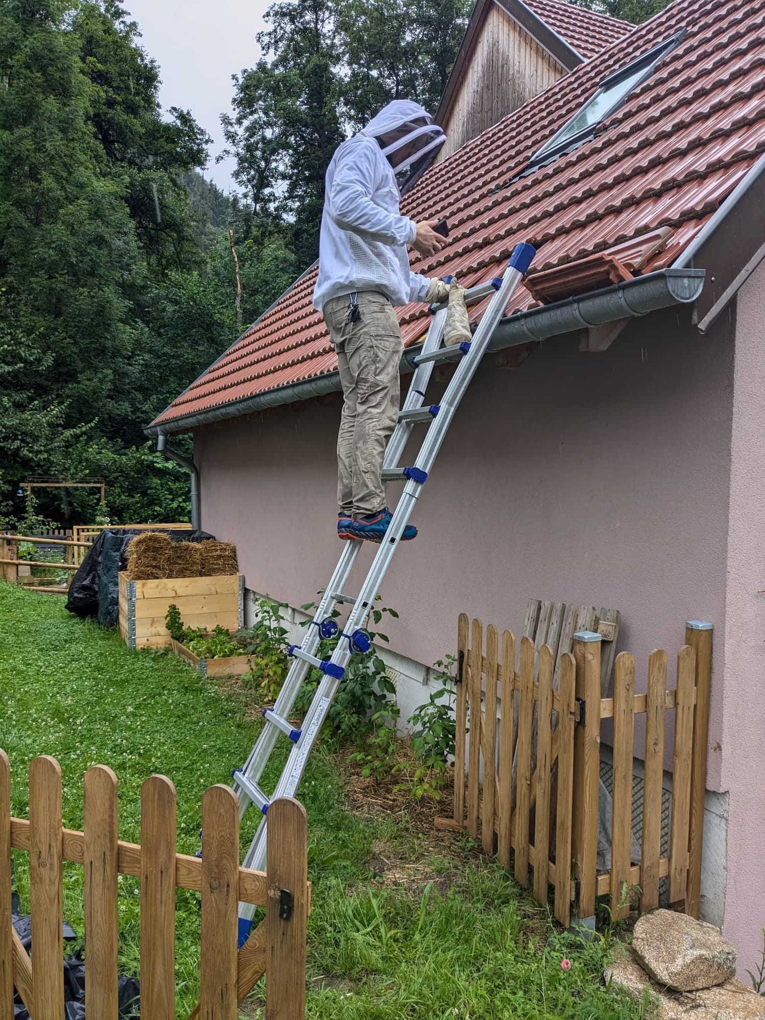 Entreprise de désinsectisation professionnelle à proximité de Strasbourg et Illkirch dans le Bas-Rhin Obernai 6